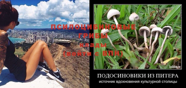 ешки Заволжск