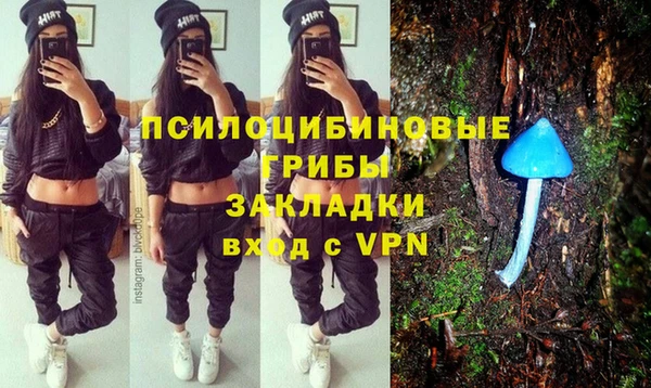 ешки Алексеевка