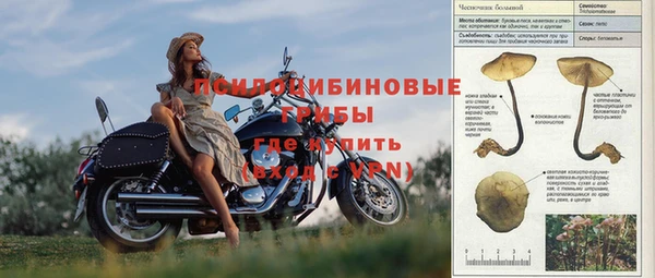ешки Алексеевка