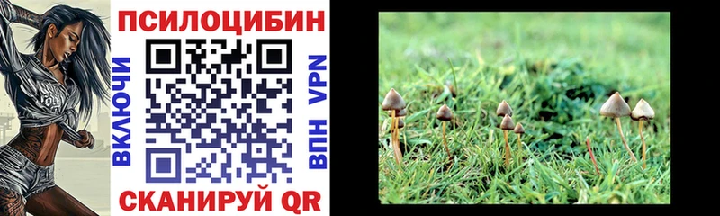 наркота Уссурийск мориарти состав Галлюциногенные грибы мухоморы